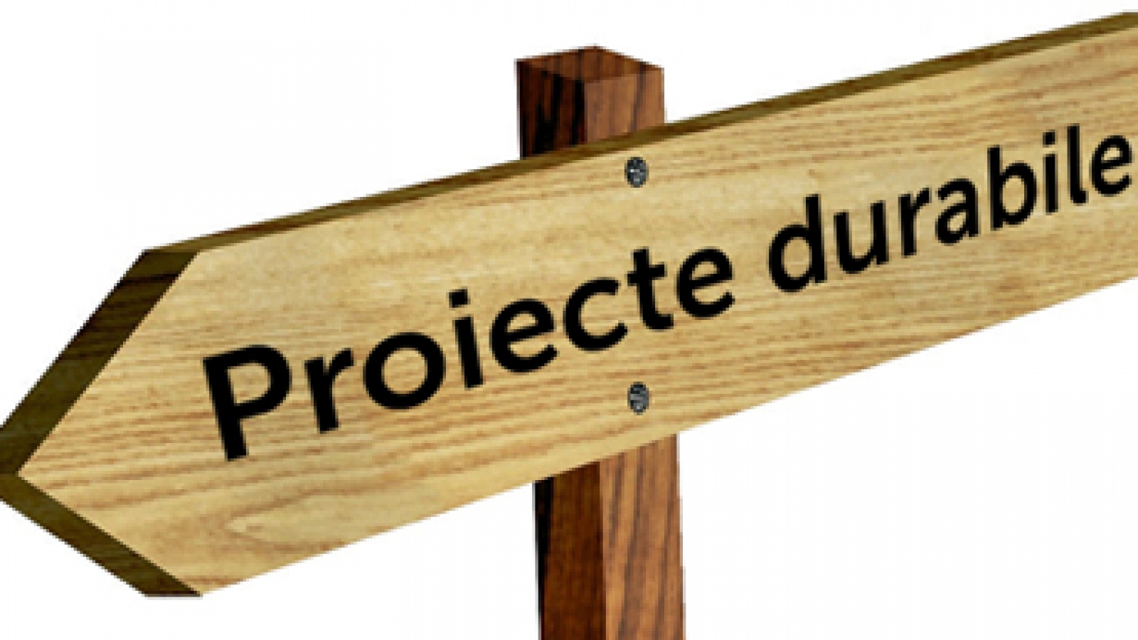 proiecte_durabile