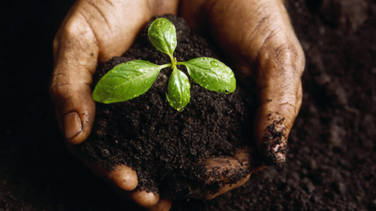 gardening-hands